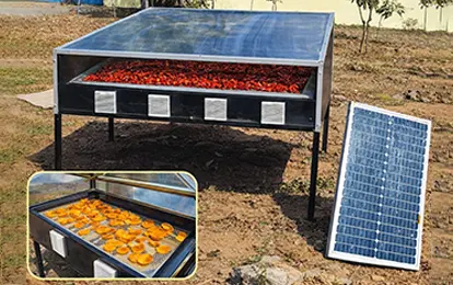 Solar dryer 50kg